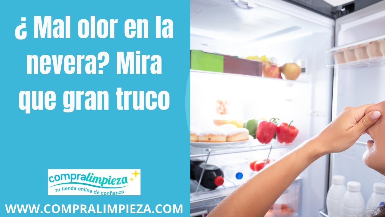 Tu frigorífico huele mal? Te contamos cómo eliminar el mal olor - FreshMAG