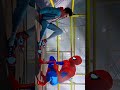 Spider Man рџ Ґ Am I Dreaming Sun Flower Lxl 48 Spider Man рџ Ґ Am I Dreaming Sun Flower Lxl 48