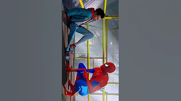 Spider Man Am I Dreaming Sun Flower Lxl 48 