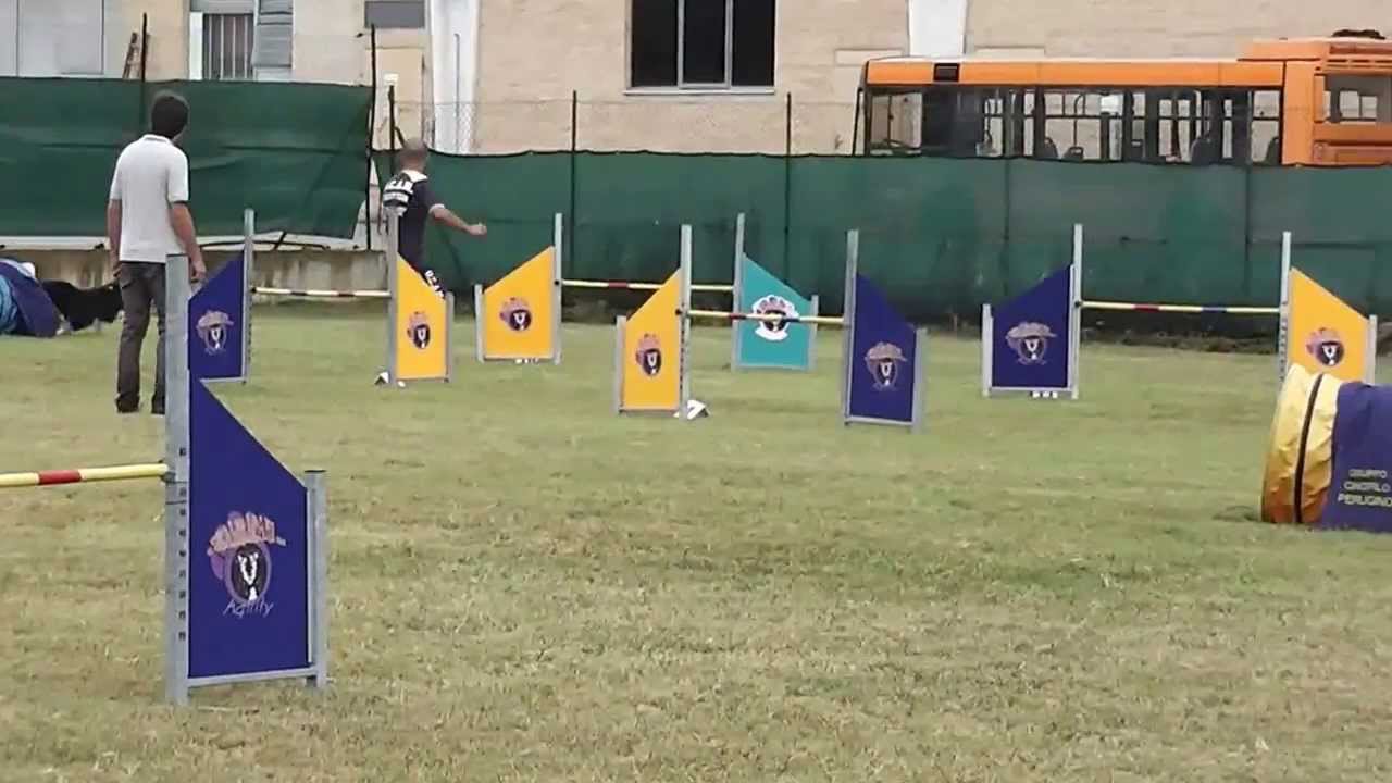 Michele Marchetti  & shiry