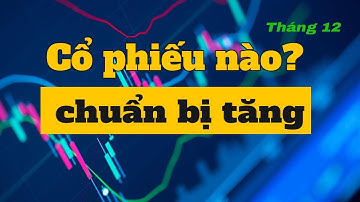 Chúc mừng cổ phiếu CTI đã tăng 9%, tiếp theo là cp nào ?