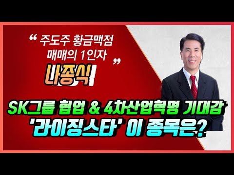 [머니W] 나종식 전문가의 Stock Sales-SK그룹 협업과 4차산업혁명 수요 증가 기대감으로 떠오를 &amp;#39;  라이징스타&amp;#39; 이 종목은?