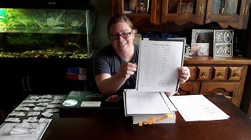 Picture/word sort Intervention Strategy