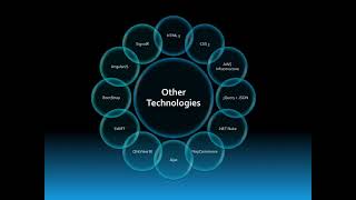 Custom solution development  Services