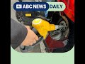 Is the global fuel crunch about to hit us? | ABC News Daily podcast