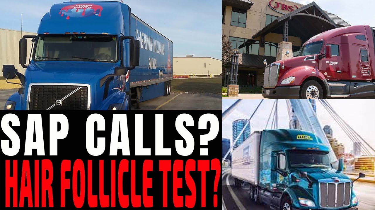 SherwinWilliams, WEL Companies, JBS Carriers MTC SAP24 The Recruiter