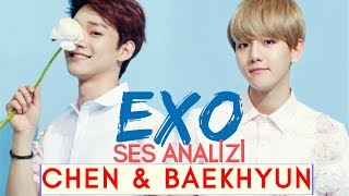 EXO - Голосовой анализ Chen & Baekhyun (Welcome K-POP)