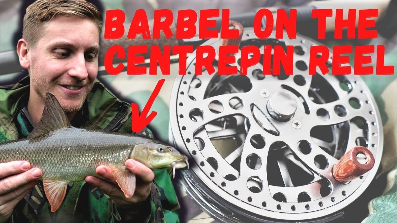 centrepin reels for barbel fishing Catching Barbel on the Centrepin Reel