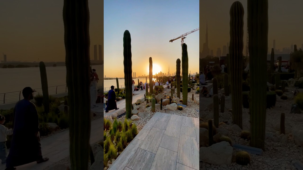 Dubai Cactus Park at Sunset 🌵 🌅 | 