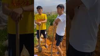 2 Brothers Fails #137 🎬More watch, 😀More laugh and 😝Funny.