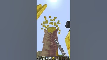 Minecraft Logic is NONSENSE! 🤦‍♂️