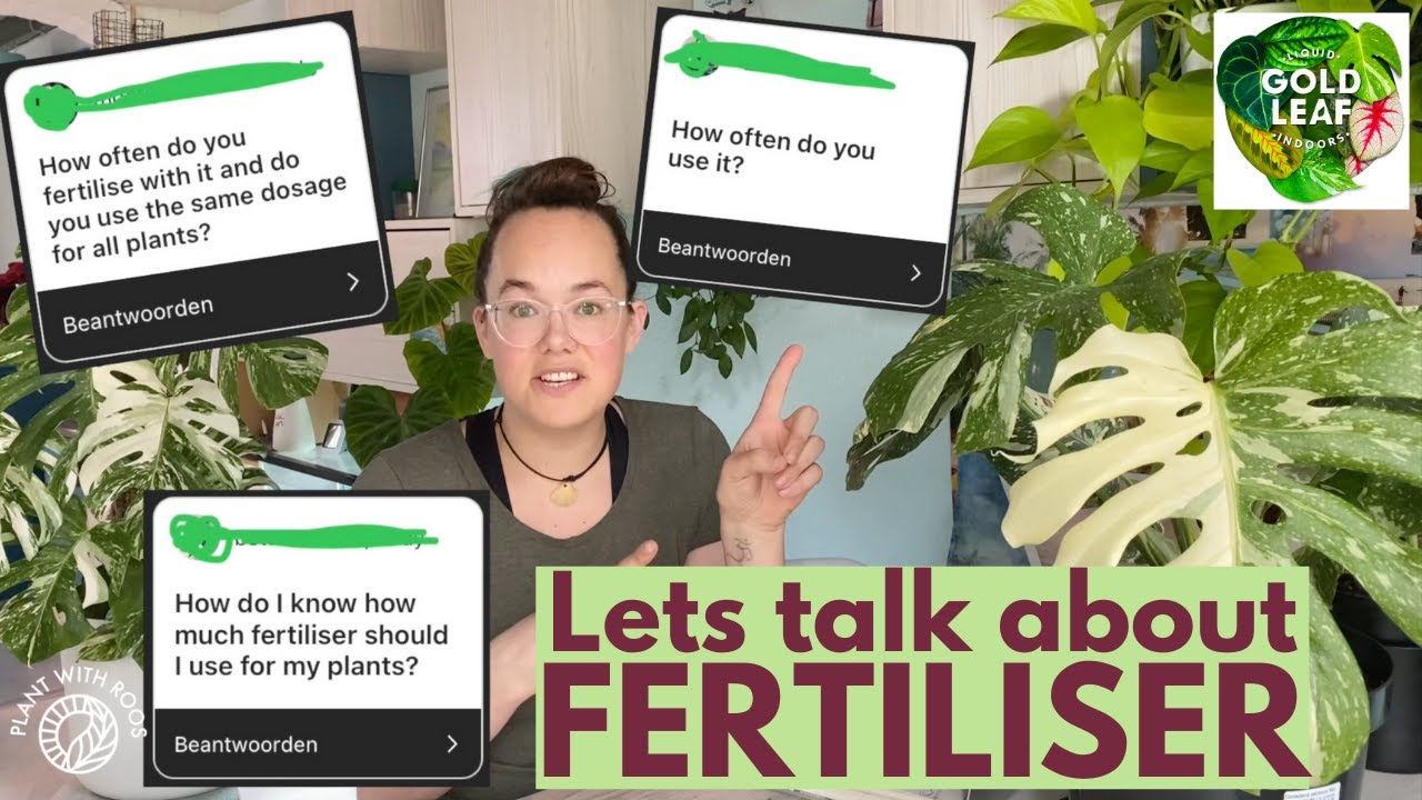 Are you feeding your plants? Fertiliser chat