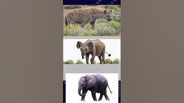 AI Combine Animals