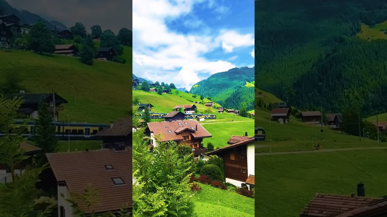 “Breathe in nature, breathe out stress ✨”