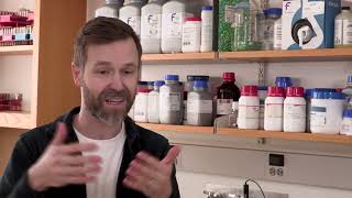 Neuroscience, Histamine & Hope: The Impact of Science Funding on Brain Health
