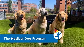 Ralph, MD, and the Medical Dog Program at Children