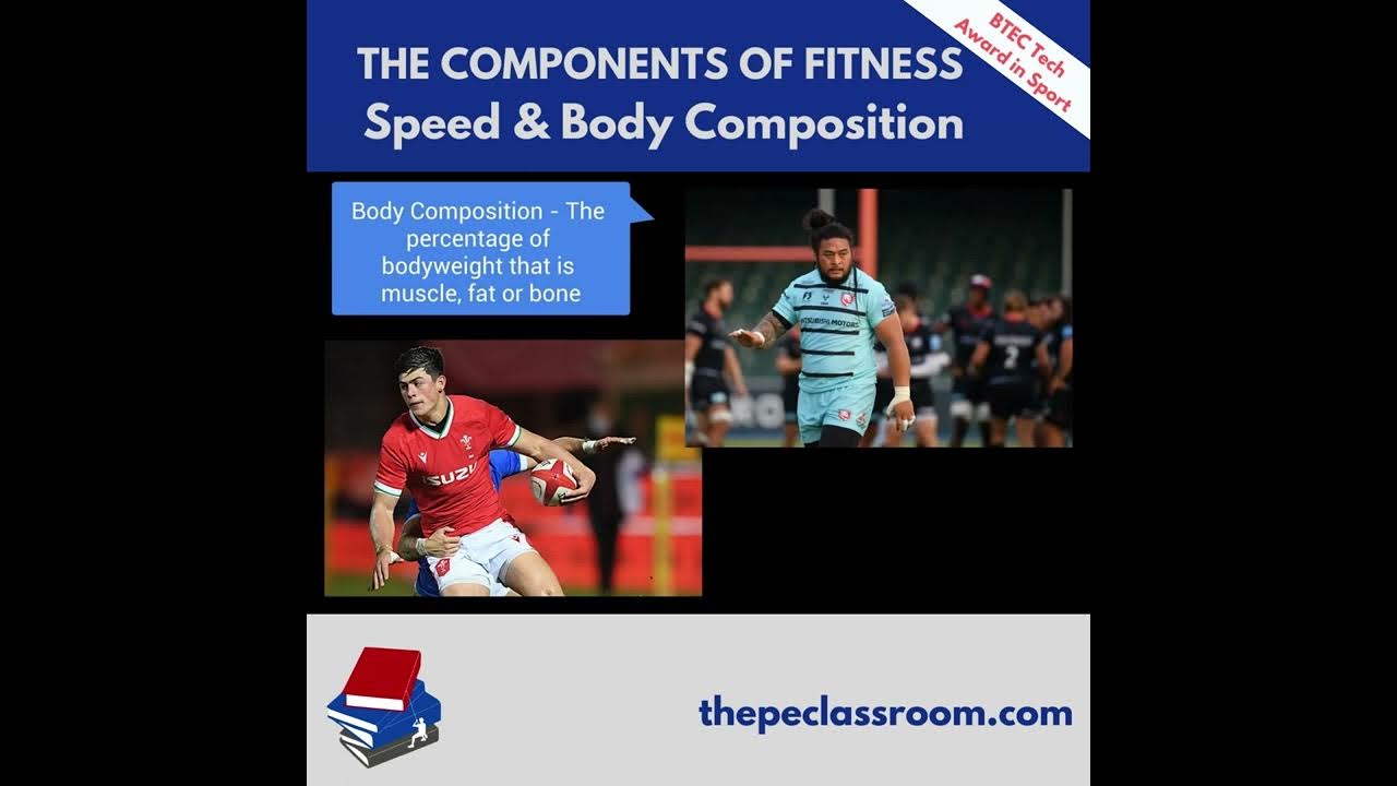 btec-the-components-of-fitness-speed-body-composition-youtube