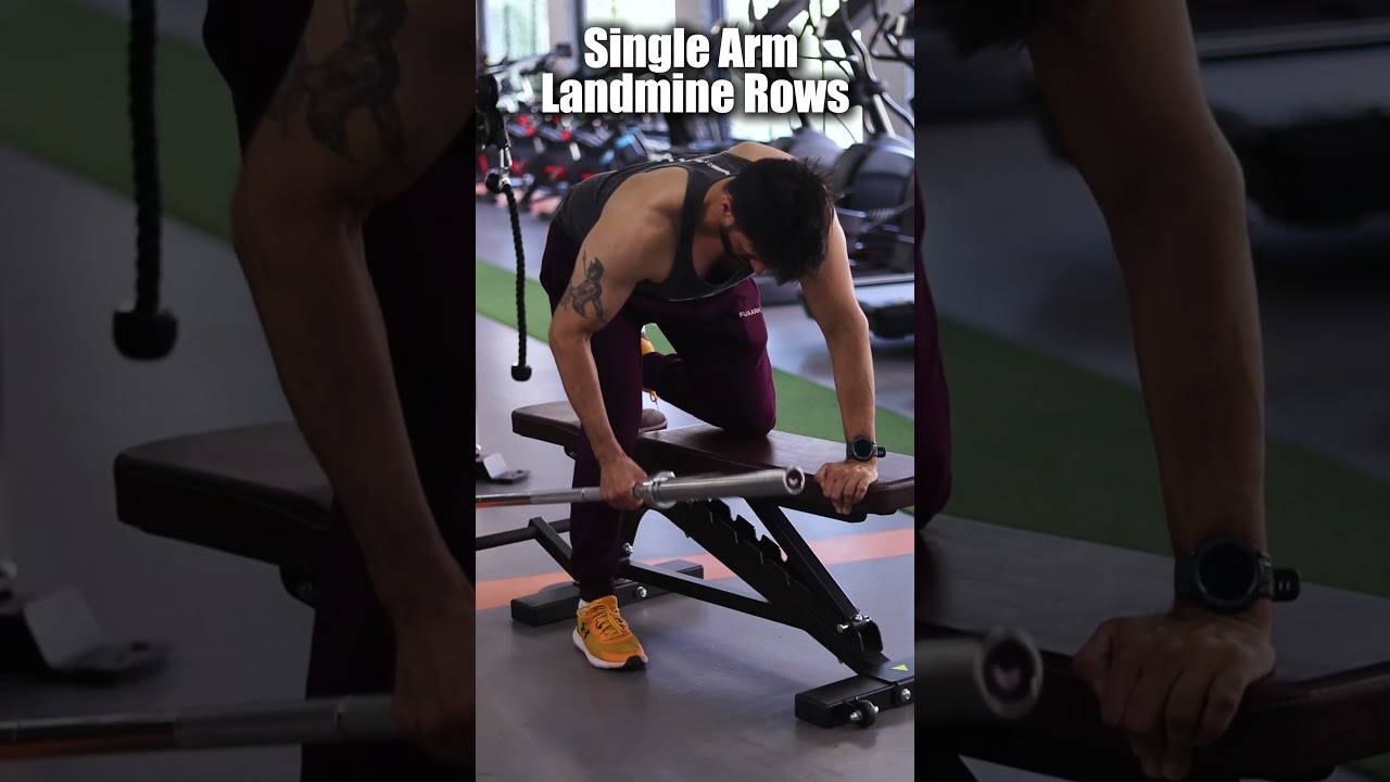 Gym Edit