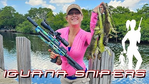 New Iguana residents being Evicted by Iguana Solutions Pellets