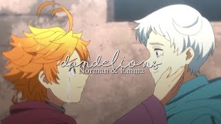 Norman and Emma - dandelions