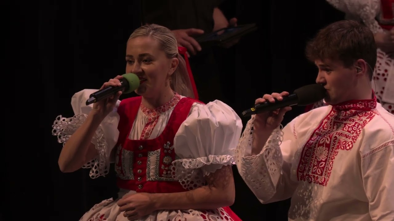 HODONÍN-PLES MUZIKANTŮ 2025 (Dechová hudba MISTŘÍŇANKA) (2.)