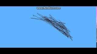 animation test:flying bird