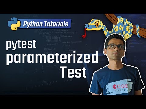 Python unit testing - pytest parameters