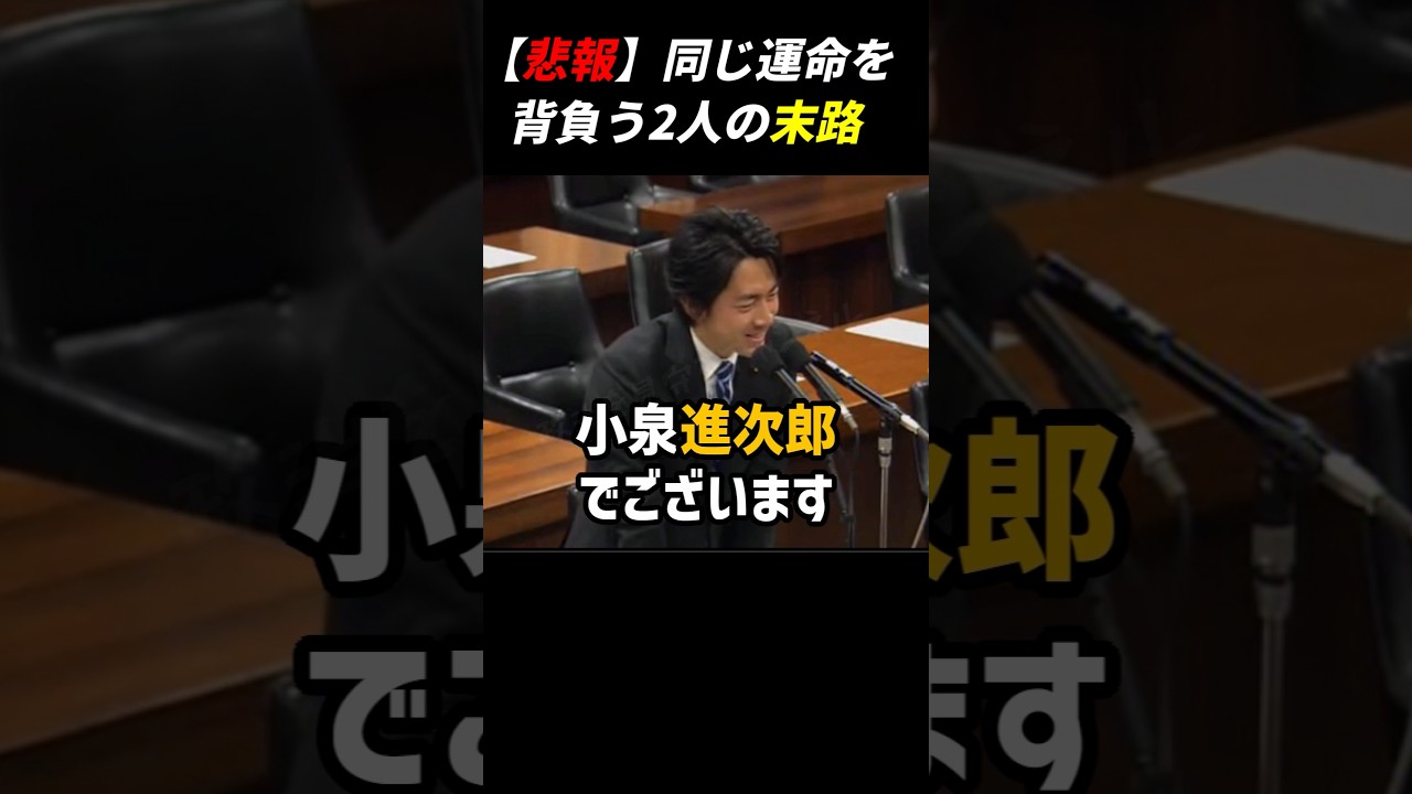 【悲報】同じ運命を背負う2人の末路※最後まで見て下さい #小泉進次郎 #羽田次郎 #自民党 #高井早苗 #安住淳
