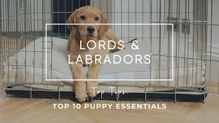 Top 10 Puppy Essentials | ‘Gotcha Day’ preparations