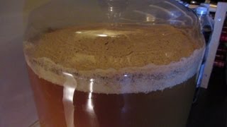 Insane fermentation!