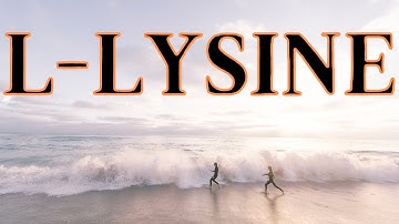 What does lysine do for humans? The L lysine amino acid benefits