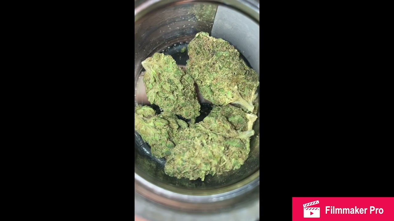 Highwayman from Bedford Grow Strain Review