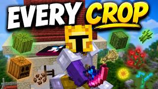 The BEST Farm Design for EVERY Crop (Hypixel Skyblock)