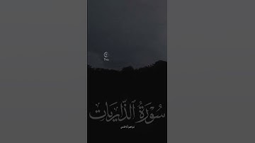 كانوا قليلاً من الليل ما يهجعون - سورة الذاريات