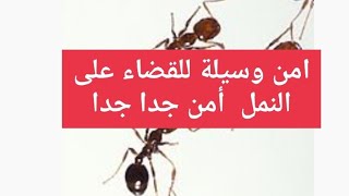 أمن طريقه للقضاء على النمل  فى ثوانى  ومن غير مبيدات ولا كيماويات.