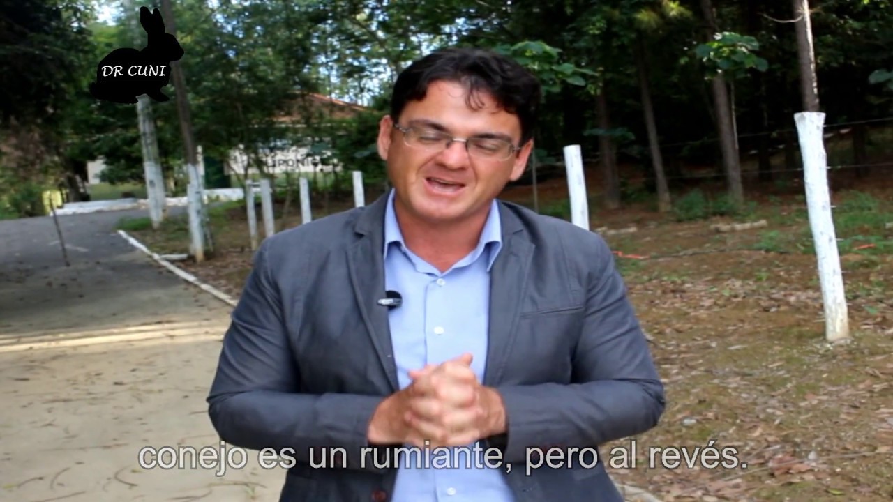 Nutrição e Alimentação de coelhos - 1ª Parte - Fisiologia digestiva - VEJA VIDEOS ATUALIZADOS