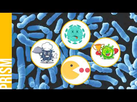 Video: Aling mga organismo ang naglalaman ng peptidoglycan sa kanilang mga cell wall?