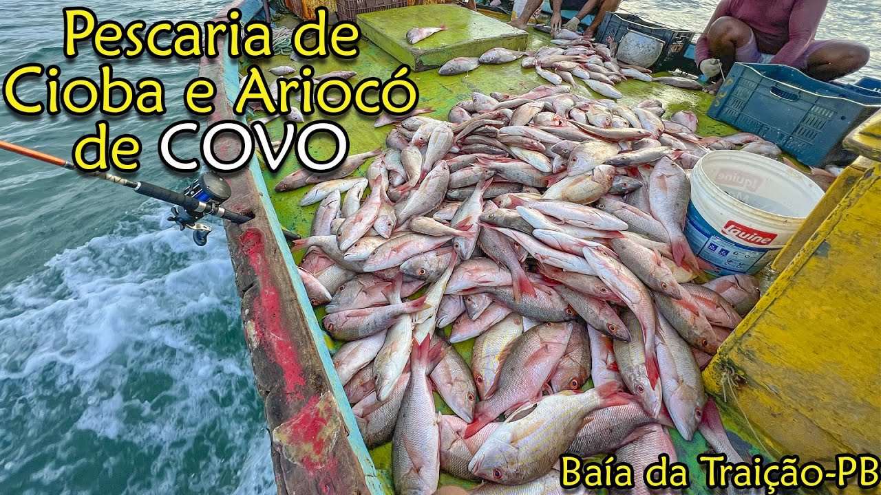 Pescaria de Covo- Baía da Traição - PB