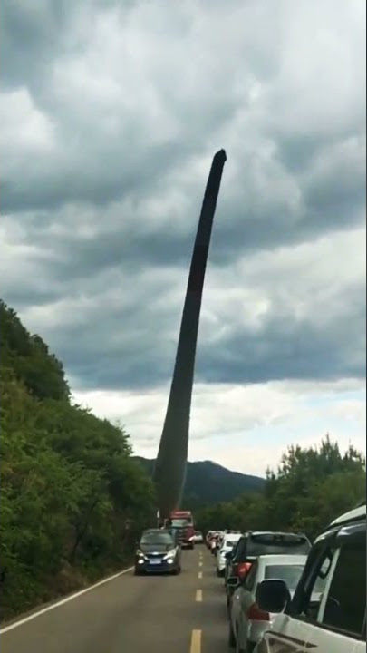 Brontosaurus appears in China🤯😲‼️ Must watch!!