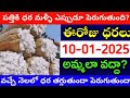 మార్కెట్లో పత్తి ధరలు 10-01-2025 Today cotton rate | cotton rate today || #pattidhralu Increase