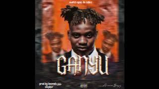 A inno Busy ___ Ganyu (visualisation)