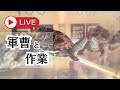 【初見さん大歓迎】メンバーシップの絵文字を増やすよ！