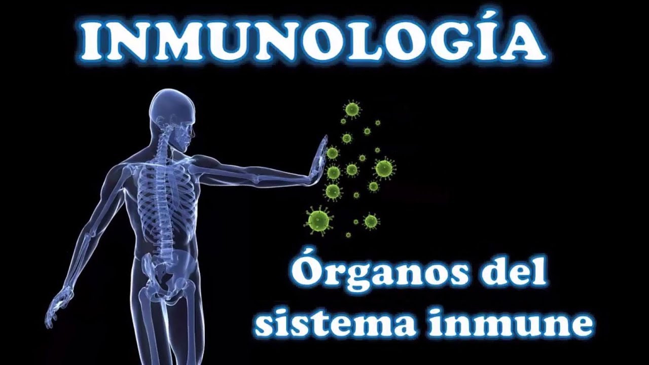 INMUNOLOGÍA 3. Órganos del sistema inmune - YouTube