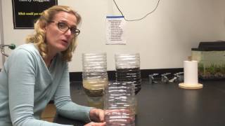 Building EcoColumns: Solving DO issues with aquatic chamber holes