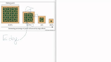 Edge Effect Biodiversity