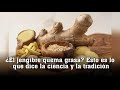 ¿El jengibre quema grasa? Esto es lo que dice la ciencia y la tradición