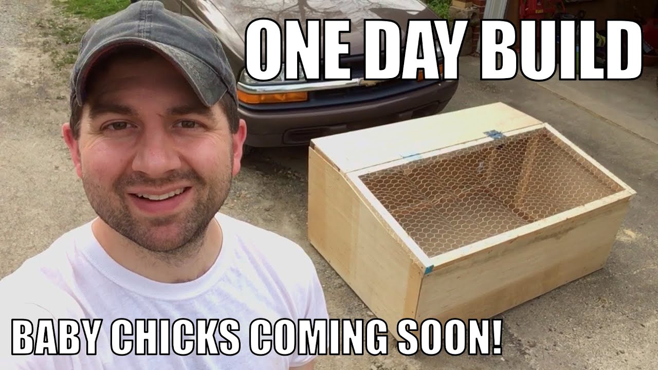 Easy Diy Chicken Brooder Scott Family Homestead