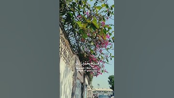 ولقد نعلم انك يضيق صدرك بما يقولون 🌙 تلاوة ايات من القران بصوت هزاع البلوشي #quranquotes#راحه_نفسيه