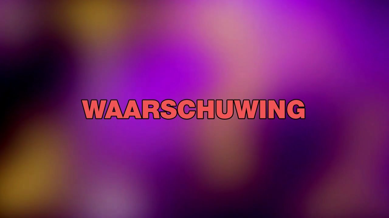 Waarschuwing anti-piraterij BAF/BREIN (Princess) v2