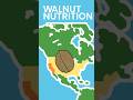 Walnut Nutrition #shorts